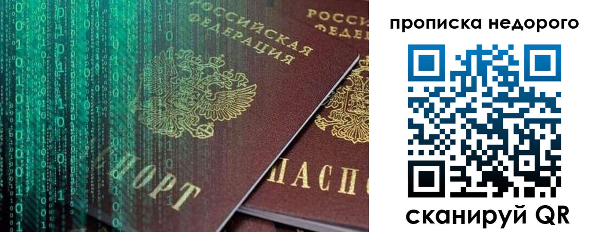 купить прописку в Пионерском